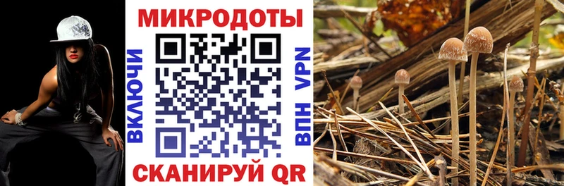 даркнет телеграм  Ишимбай  Псилоцибиновые грибы прущие грибы 